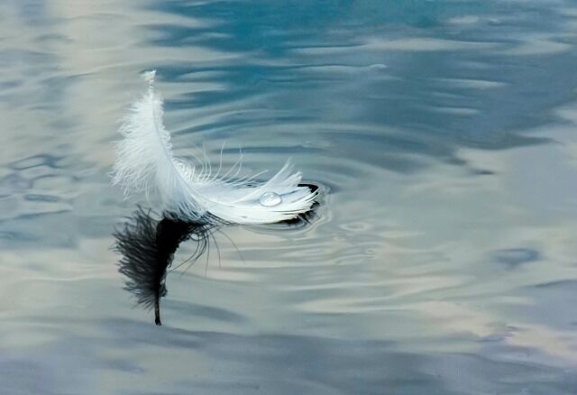 The white feather is symbolism