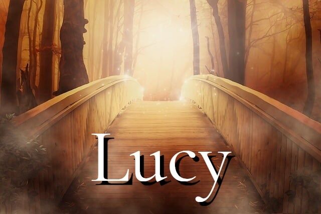 The name Lucy - meaning and symbolism.