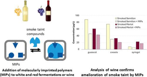 Removing taint compounds from wine