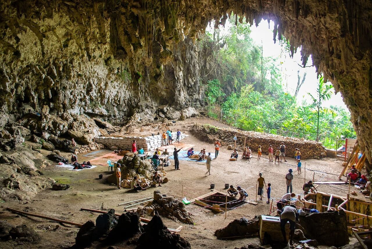 Rare fossils reveal insights into the origins of Homo floresiensis