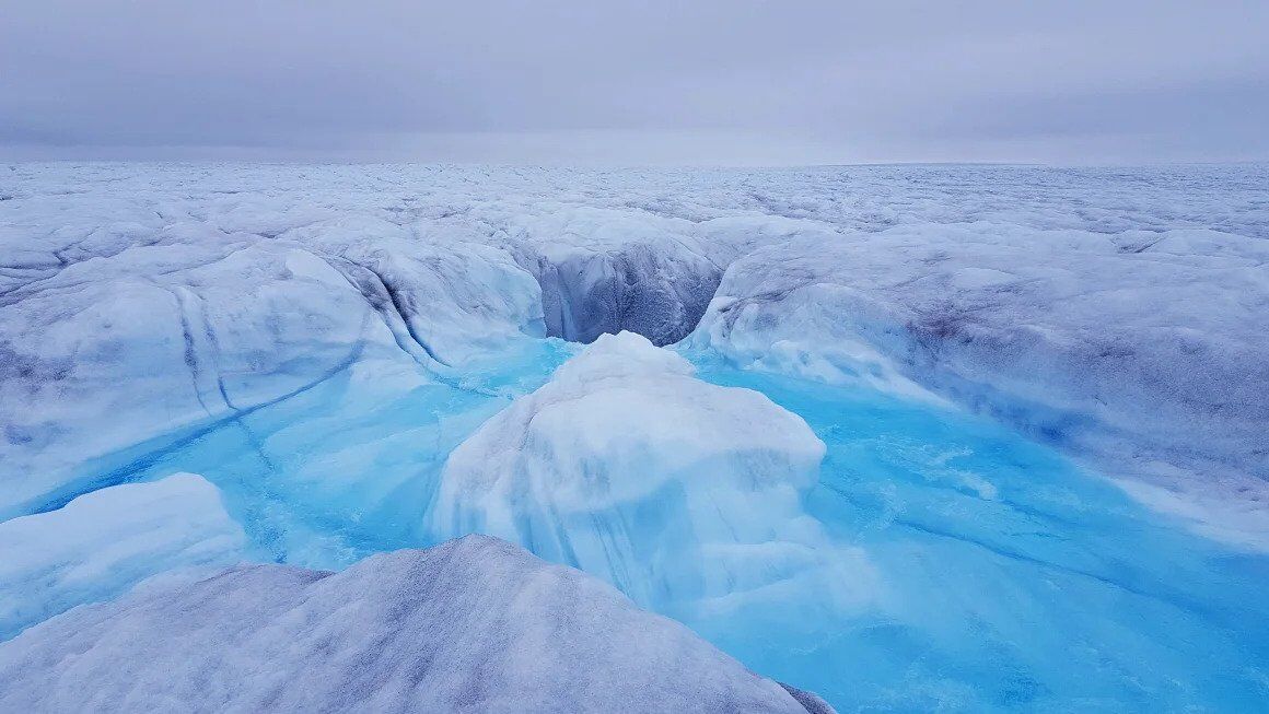 Greenland fossil discovery reveals alarming risk of sea-level rise