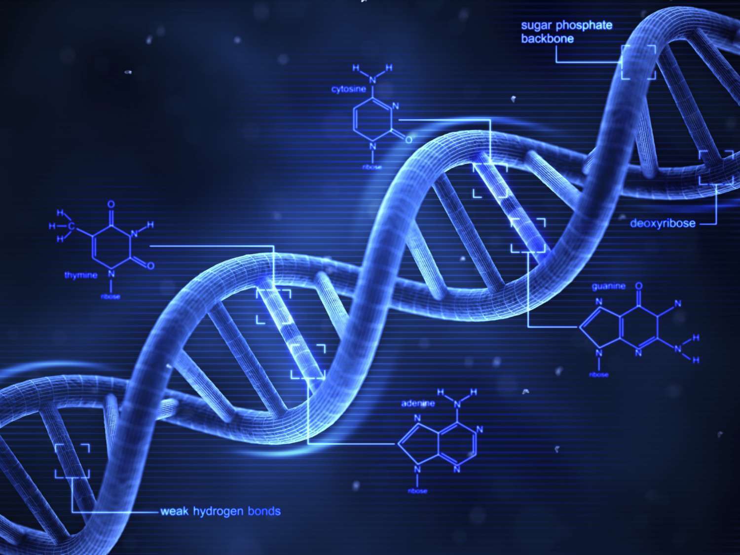 Cracking the hidden language of life: AI Model's breakthrough in decoding DNA