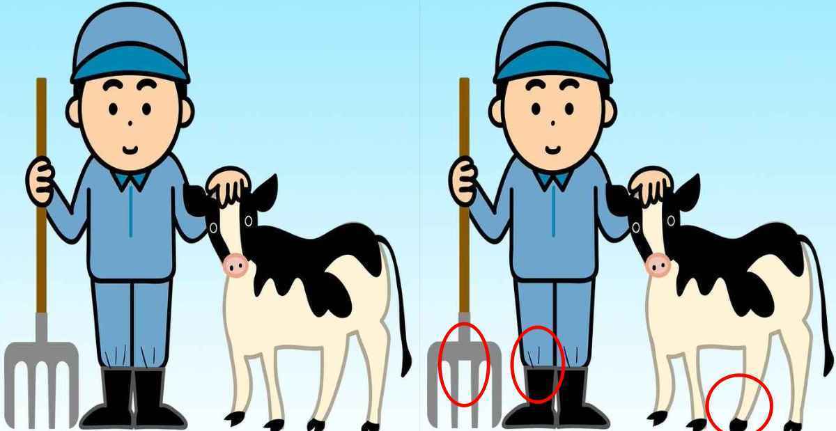 Can you find 3 differences between the farmer and his cow pictures?