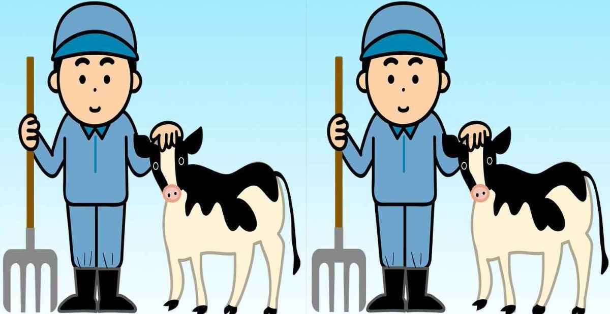 Can you find 3 differences between the farmer and his cow pictures?