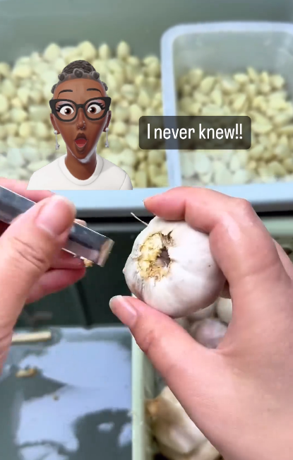 Viral Garlic Peeling Hack Attracts 54 Million Views, But Not Everyone Is Stunned