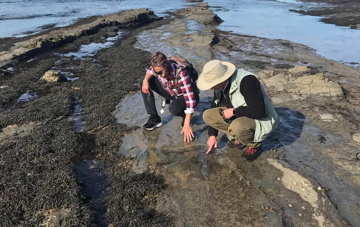 Footprints Reveal that Big Theropod Dinosaurs Lived Near the Antarctic Circle