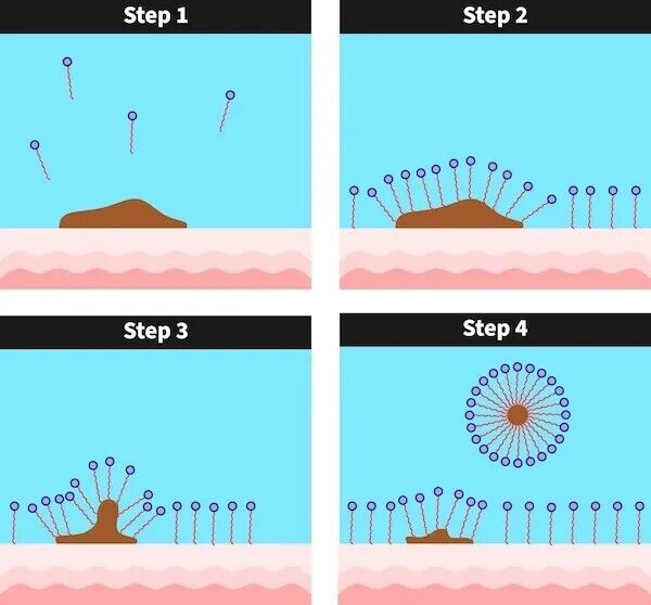 A diagram showing how surfactants (blue structures) remove dirt (brown blob) from the skin's surface.