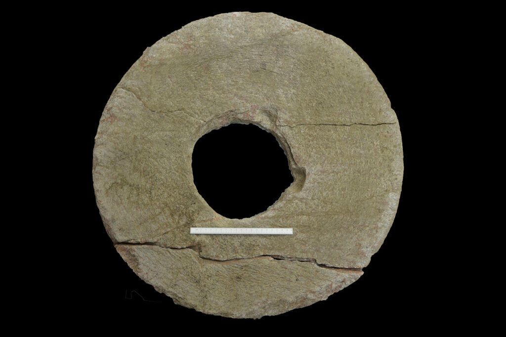 Upper part of rotary quern from the Coultorsay excavation