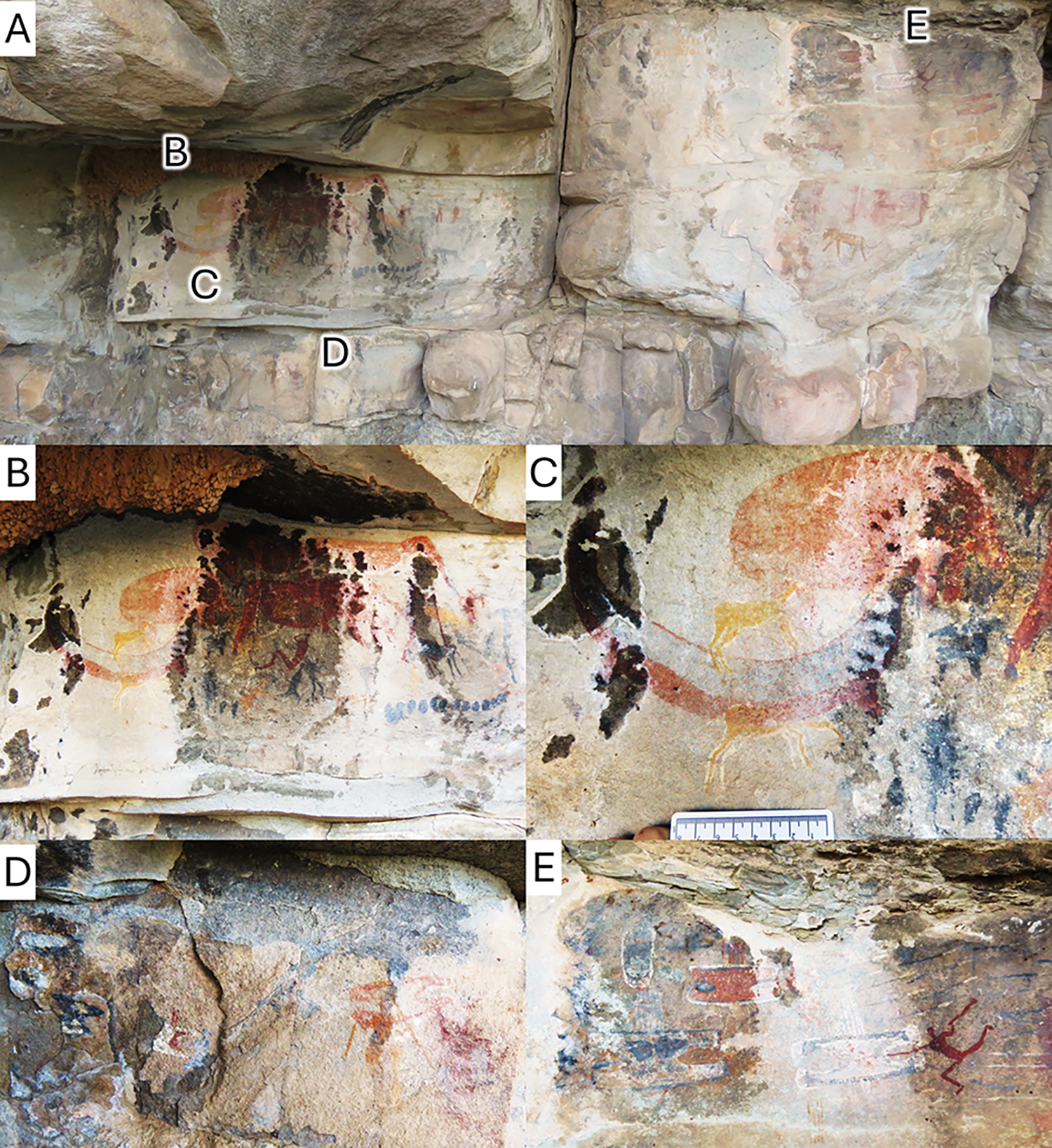 A possible later stone age painting of a dicynodont (Synapsida) from the South African Karoo