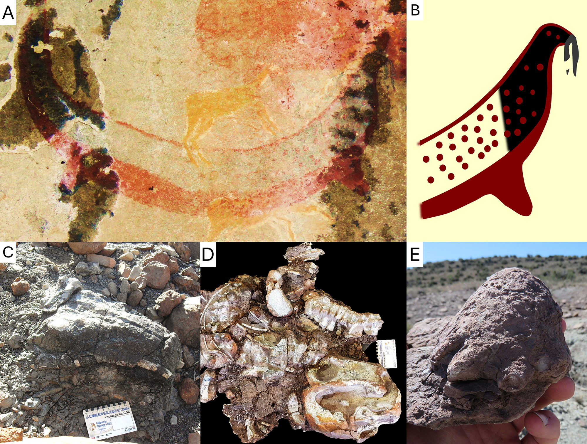 A possible later stone age painting of a dicynodont (Synapsida) from the South African Karoo