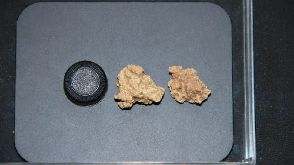 Examples of the 3,600-year-old cheese found on the mummies