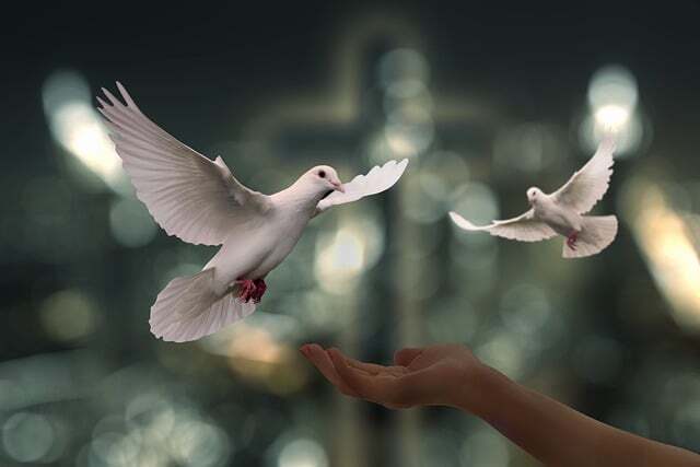 Doves - biblical significance