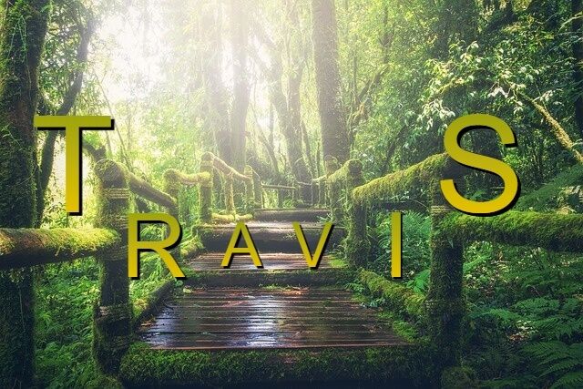 The name Travis – meaning of the letters