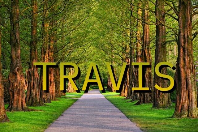 The name Travis – origin and symbolism