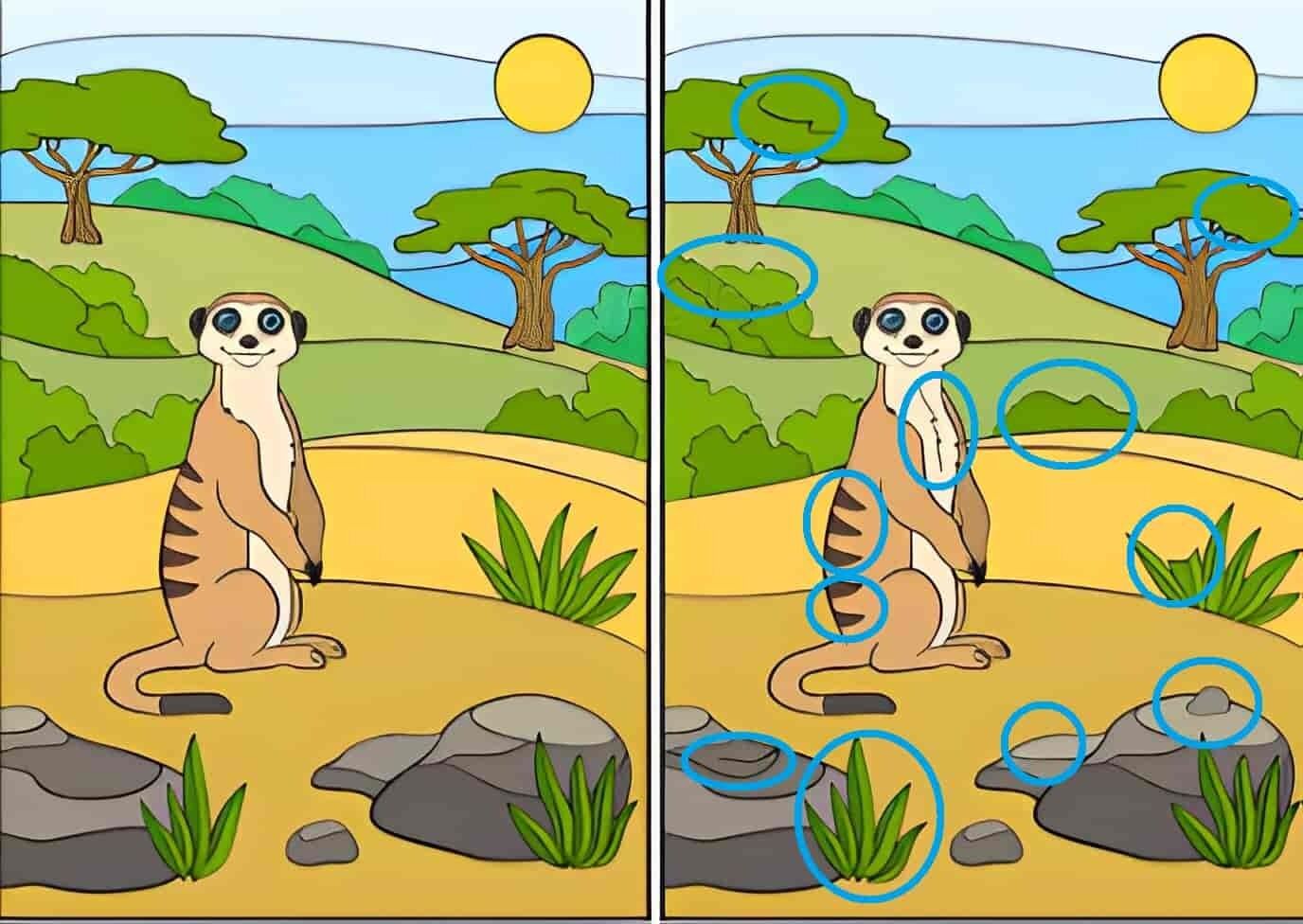 Spot The Difference: Can You Find 12 Differences in 59 Seconds?