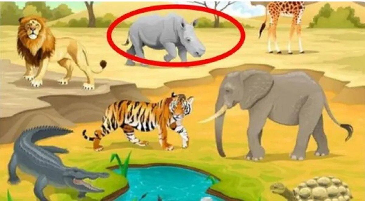 Identify the Major Mistake in This Animal Scene in Just 8 Seconds