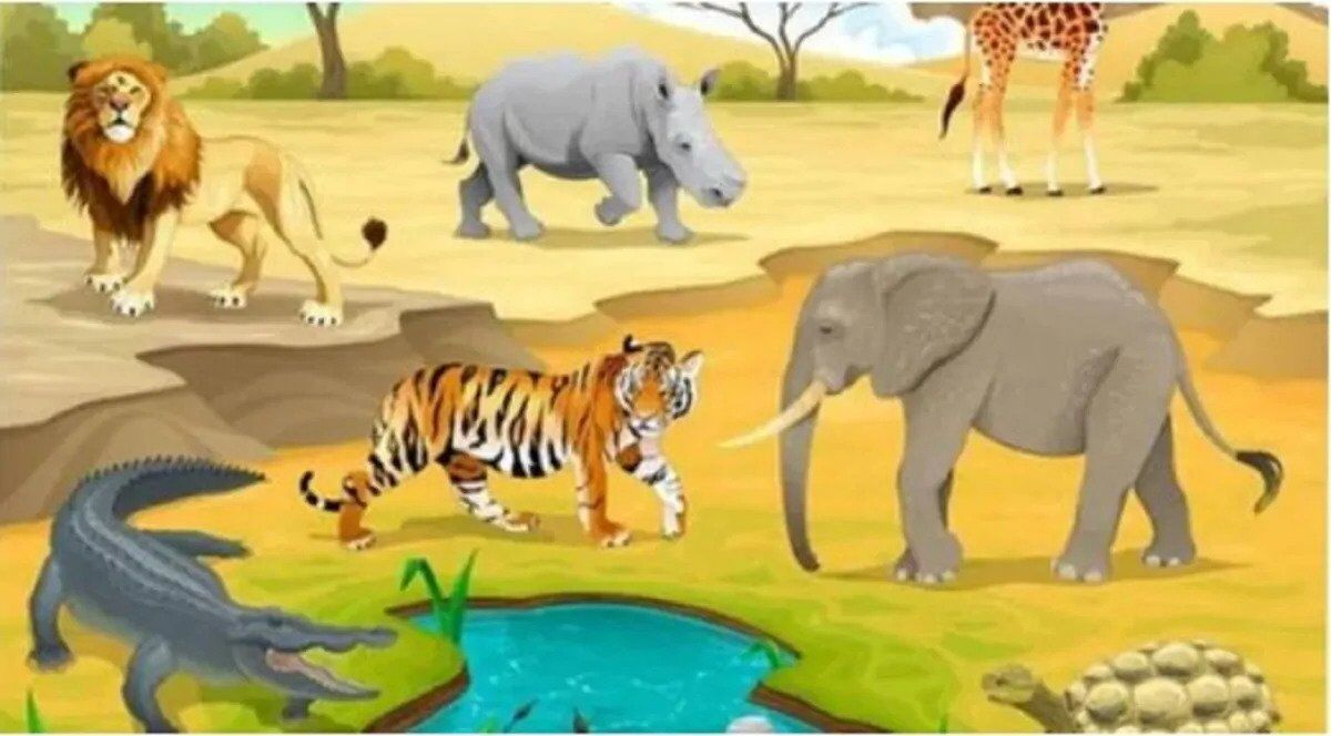 Identify the Major Mistake in This Animal Scene in Just 8 Seconds