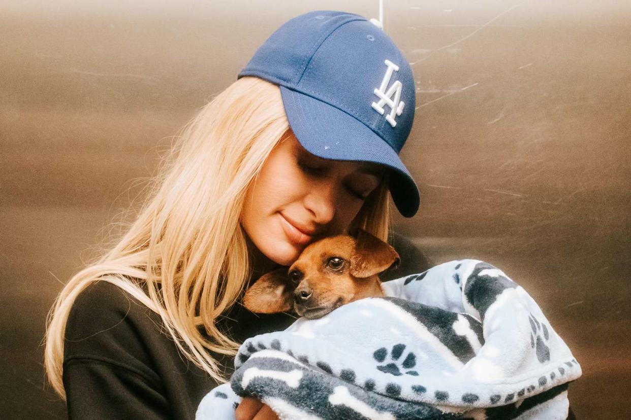 Paris Hilton Volunteers at Shelter for Animals Affected by L.A. Fires and Boosts Search for Missing Cat Owner