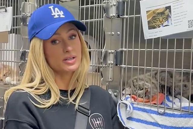 Paris Hilton Volunteers at Shelter for Animals Affected by L.A. Fires and Boosts Search for Missing Cat Owner