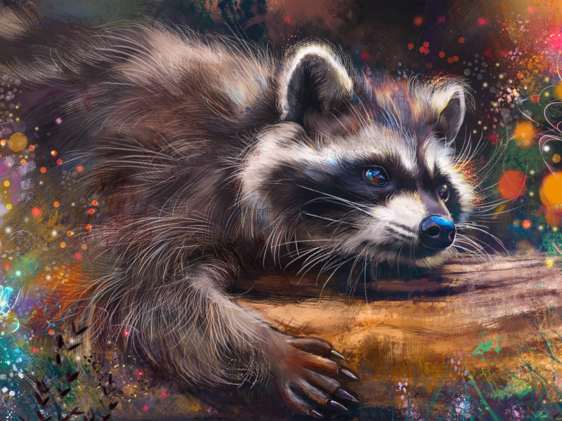 Raccoon Dream Meanings and Symbolism