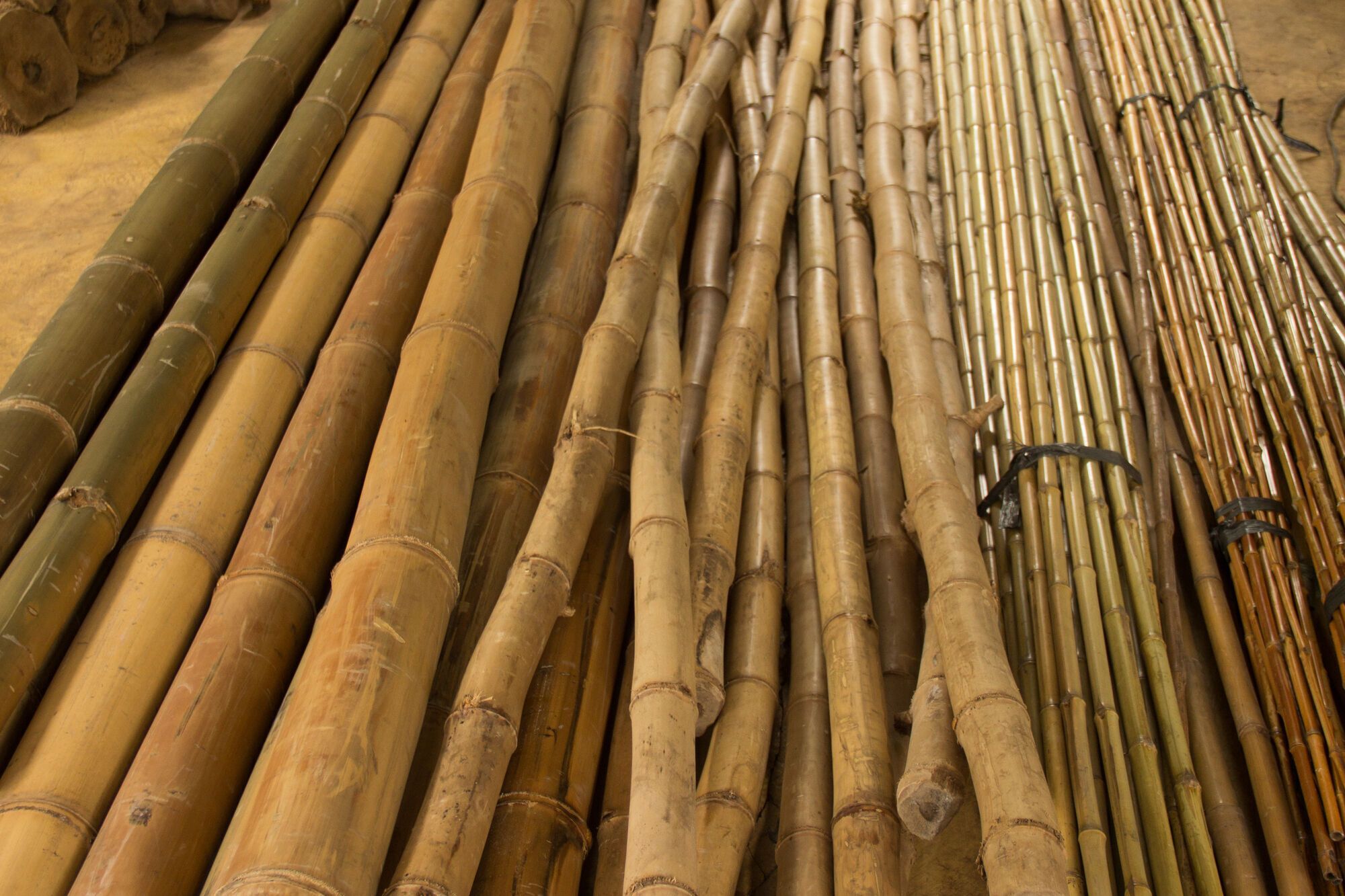 What Bamboo Means in a Dream: Discover the True Power of Famous Chinese Symbol