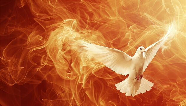 6 Spiritual Meanings of a Dove on Fire