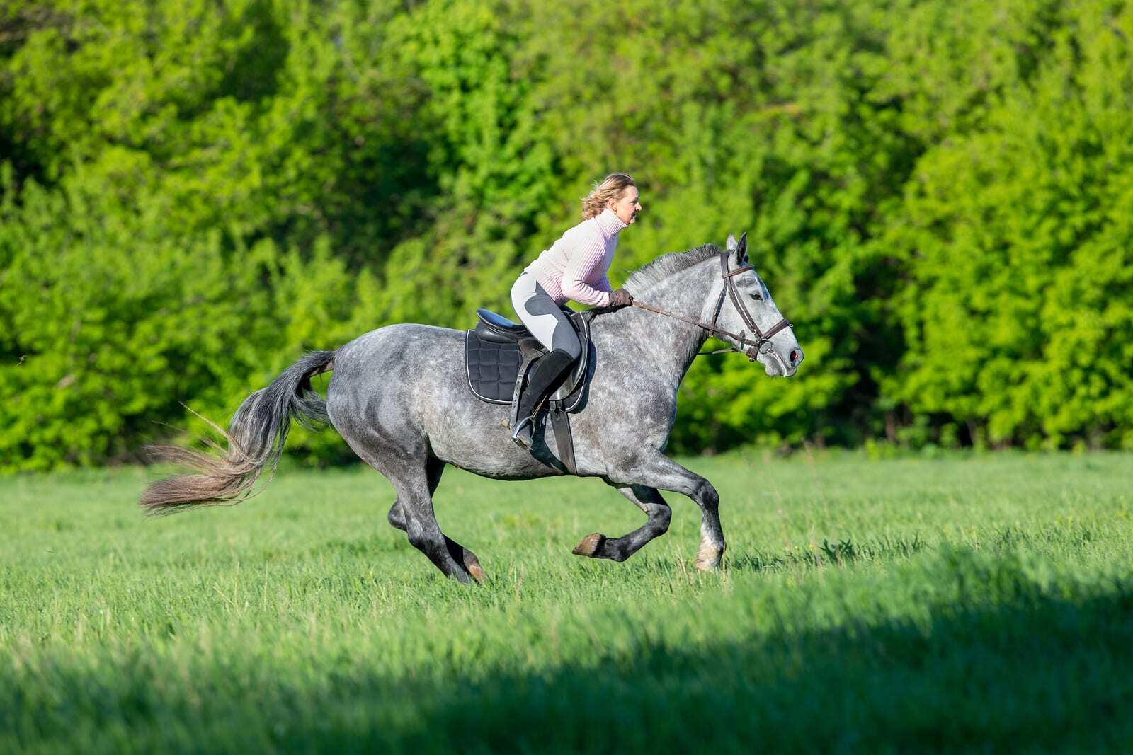 What it Means to Ride in Your Dream: Deciphering Various Riding Scenarios