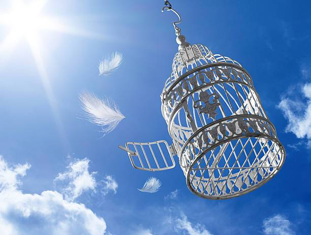 What Cage Dreams Symbolize Spiritually