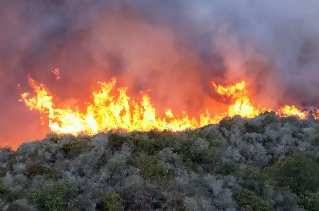 Palisades Fire: Spencer Pratt and Heidi Montag's Los Angeles House Burns Down