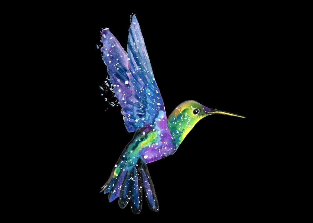 Hummingbird spirit animal