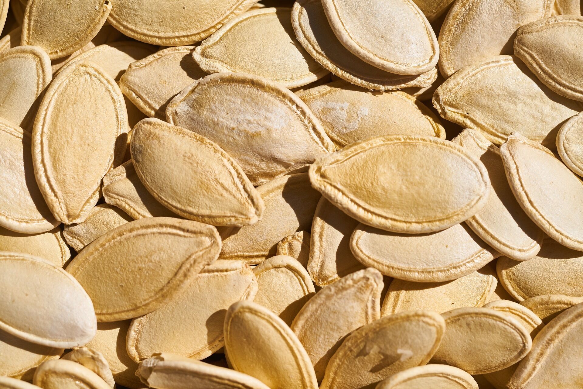 The Hidden Spiritual Power of Pumpkin Seeds: Symbols of Growth and Abundance