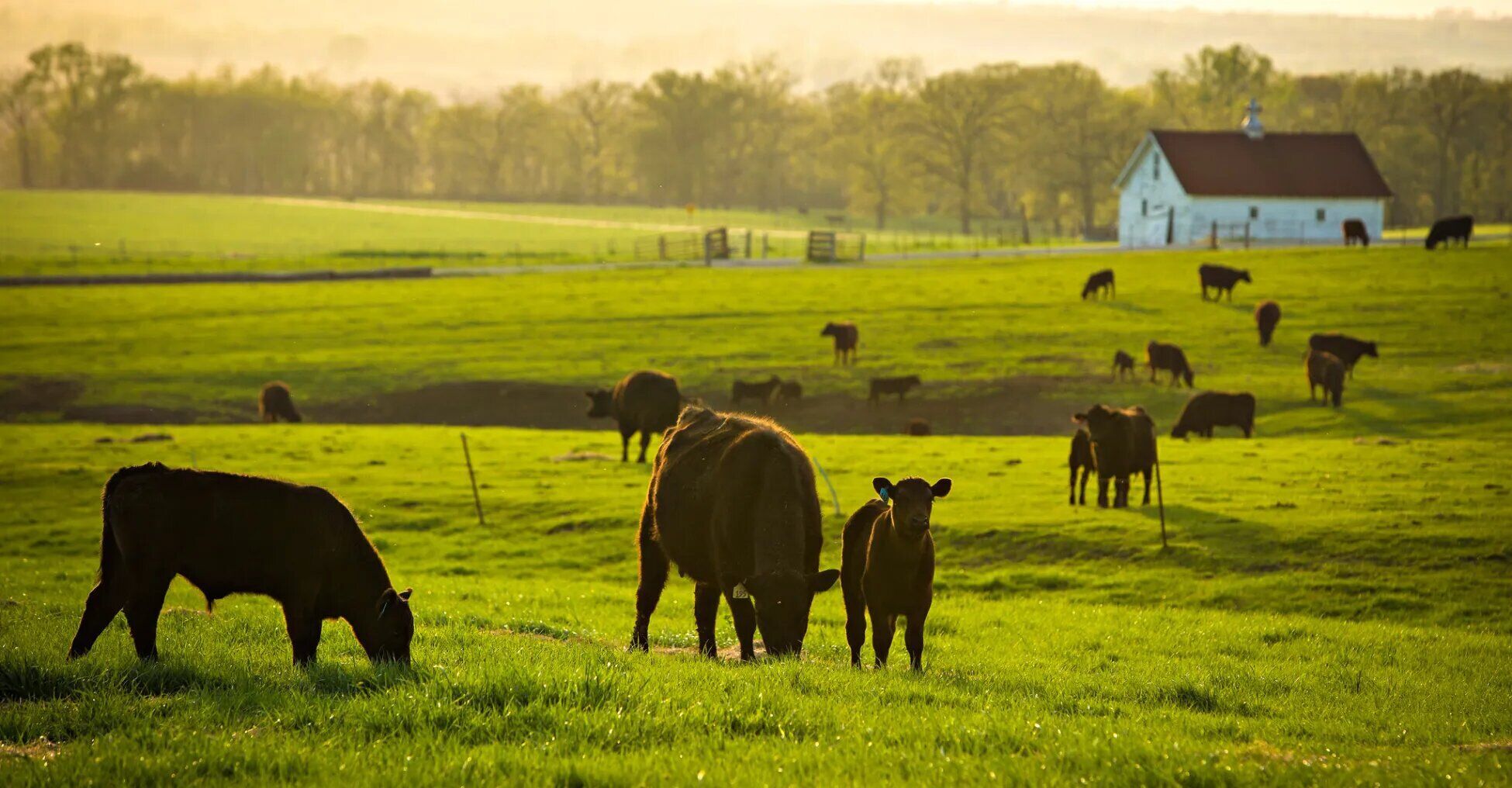 Farm dream meaning