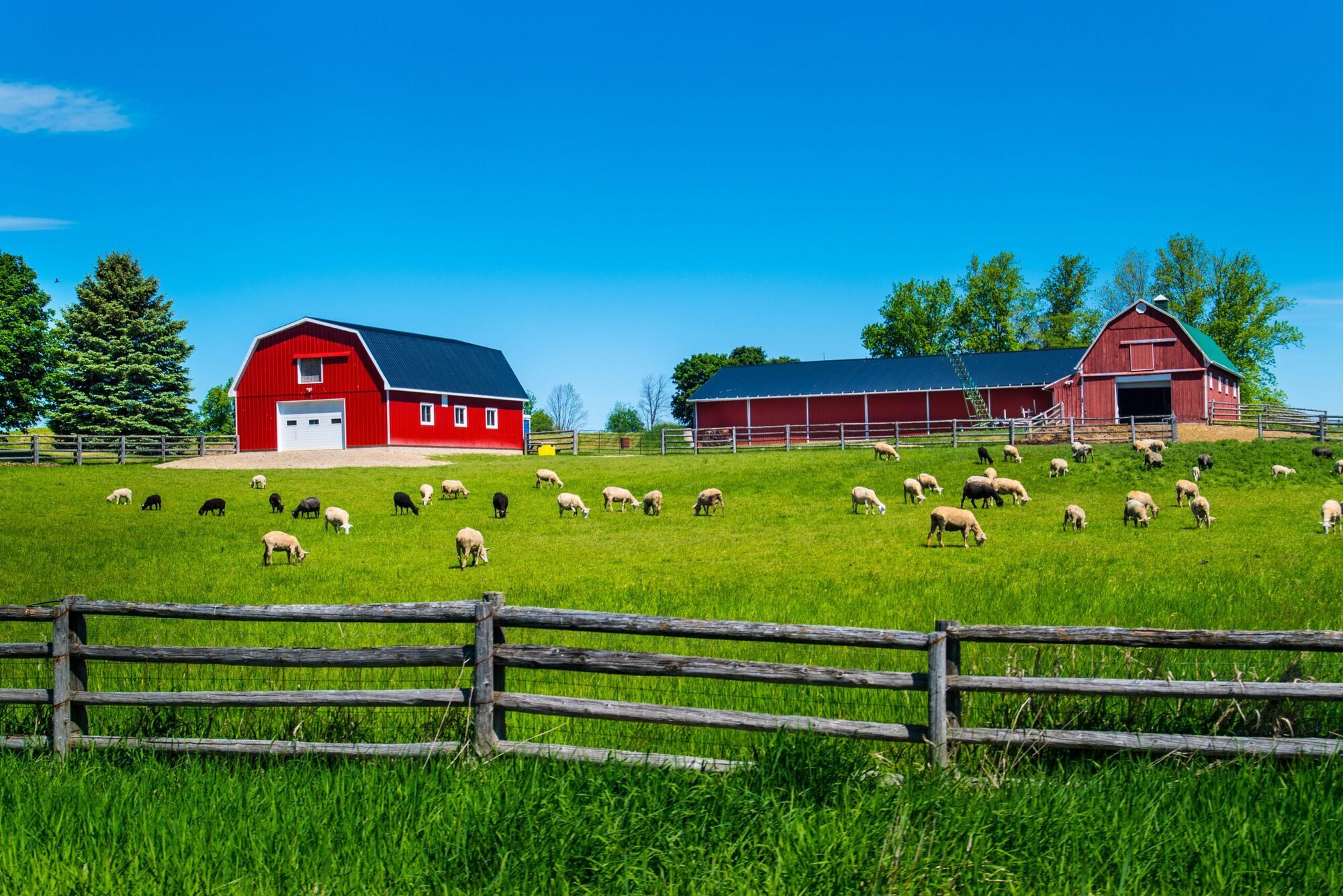 Farm dream meaning