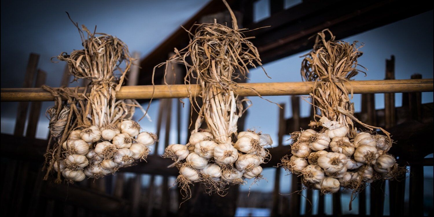 Spiritual Meaning of Garlic in Dreams: A Comprehensive Guide