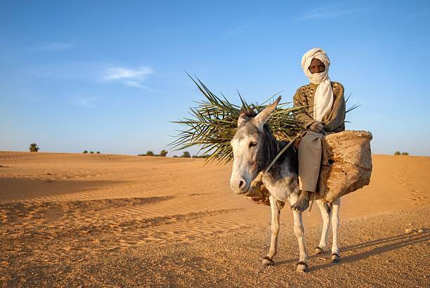 The Symbolic Power of Donkeys in Dreamscapes: Uncovering Spiritual Interpretations