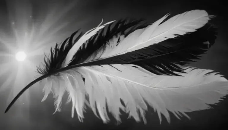 The Symbolism Behind Black and White Feathers Explained