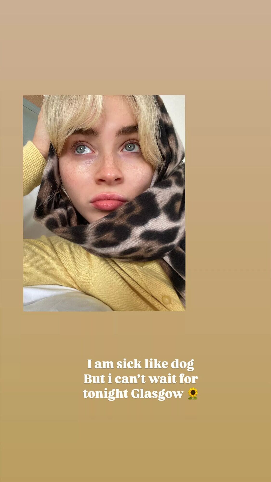 Sabrina Carpenter's Instagram Stories post.