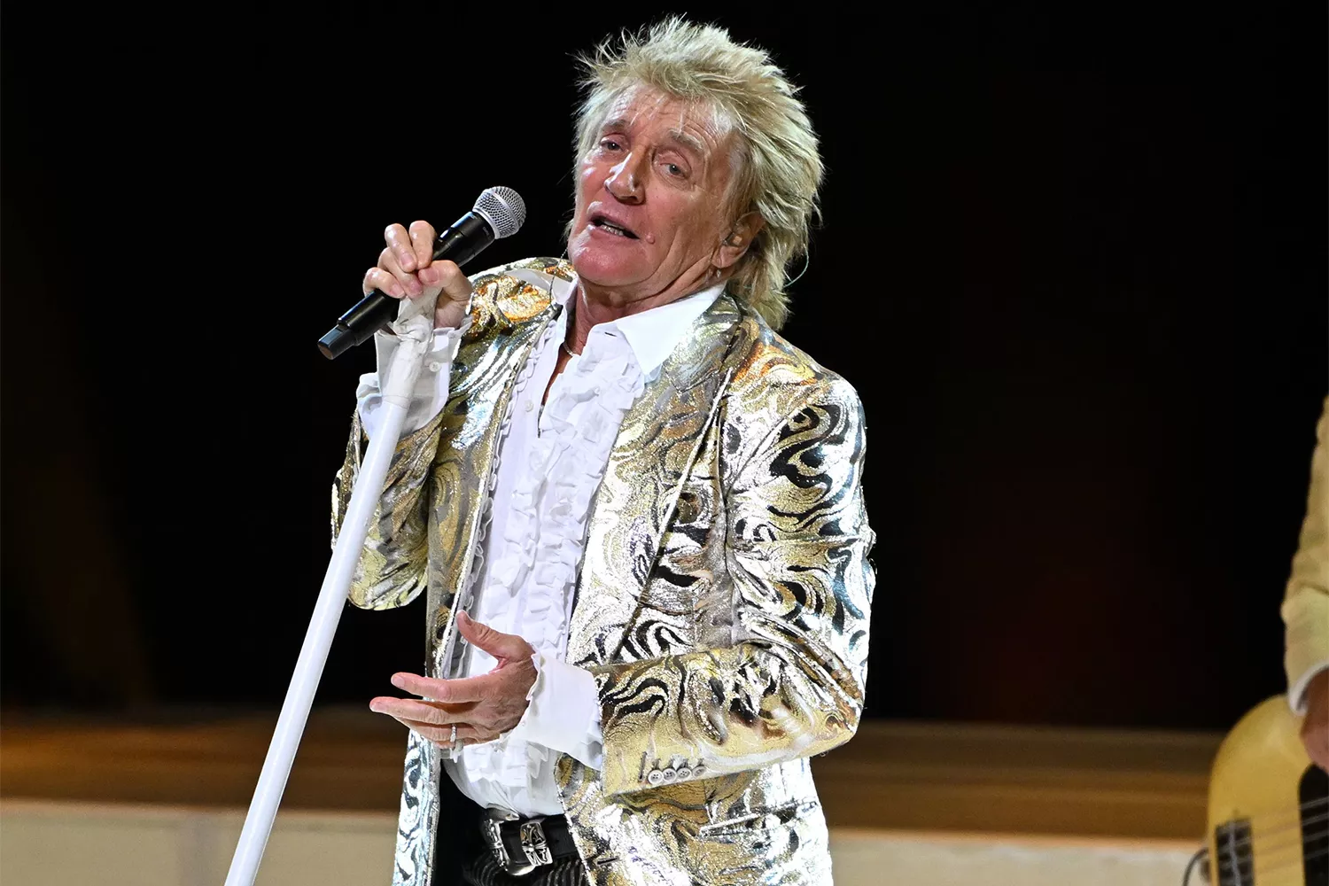 Rod Stewart