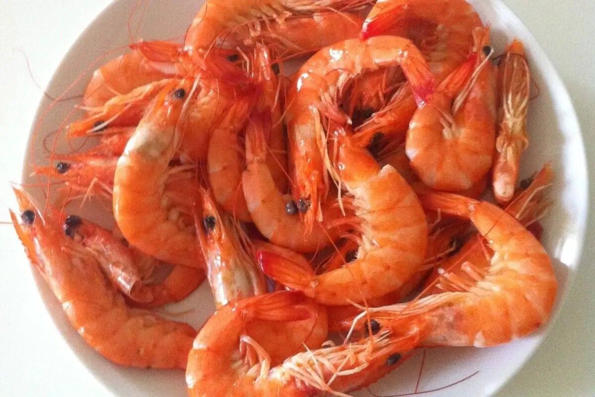 Shrimp in Dreams: Spiritual Symbolism and Hidden Meanings