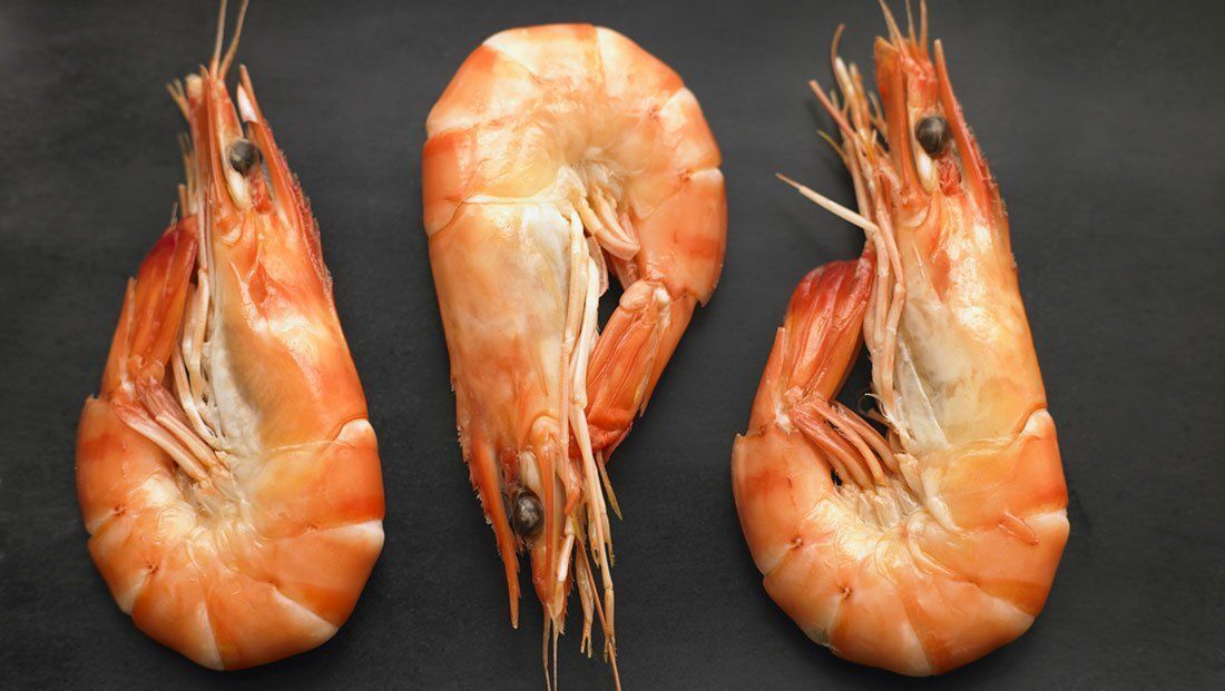 Shrimp in Dreams: Spiritual Symbolism and Hidden Meanings