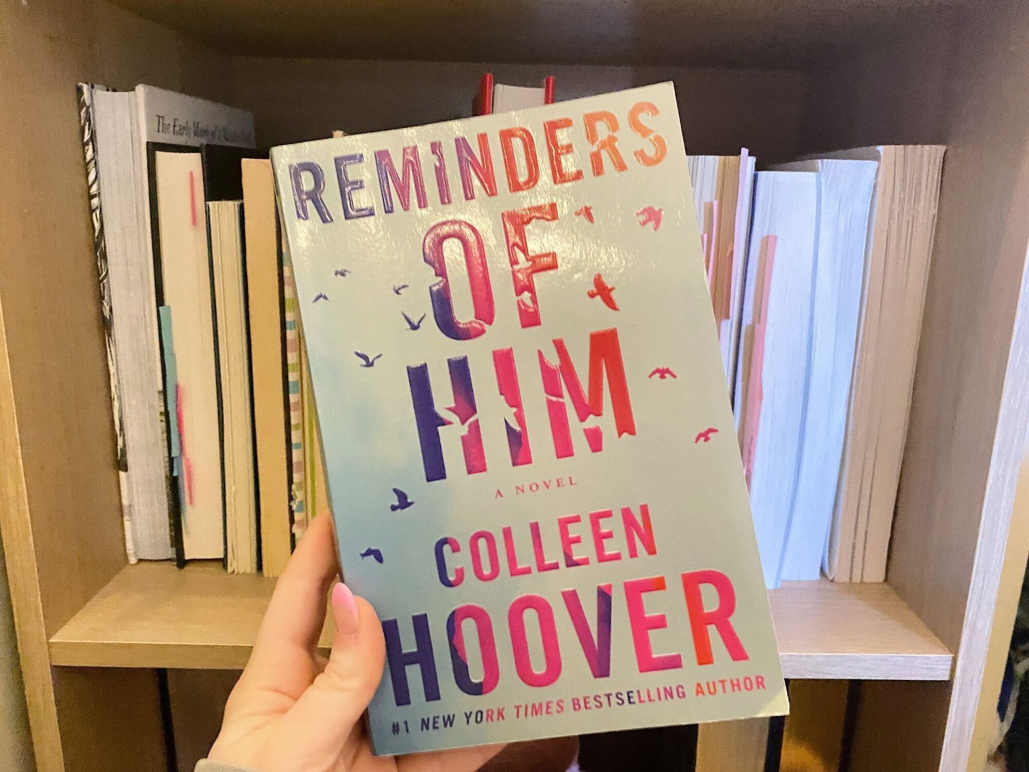 Maika Monroe Stars in Colleen Hoover's Reminders of Him Movie Adaptation