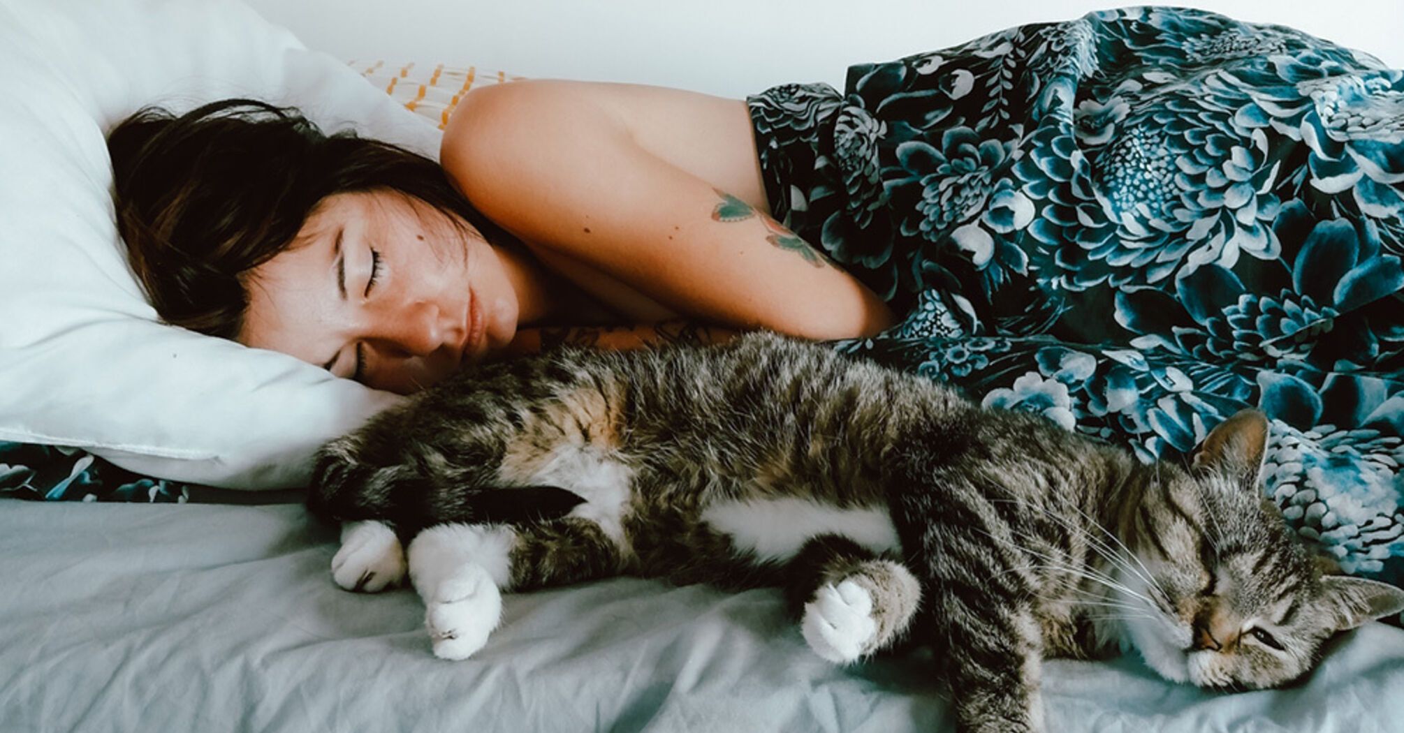 Why it is dangerous to sleep with cats