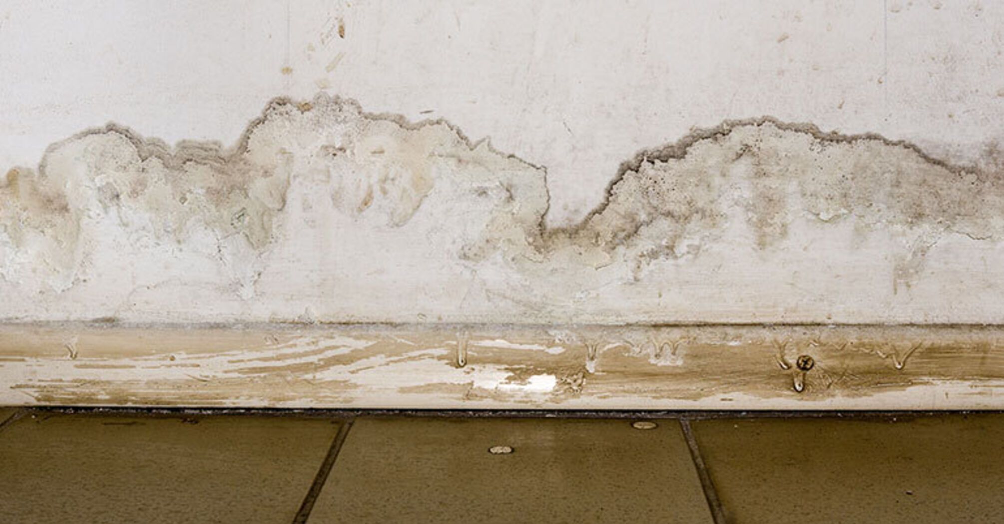 5 mistakes we most often make when removing mold