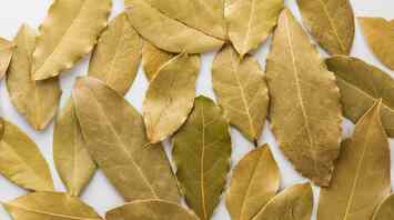 What does a bay leaf in shoes mean