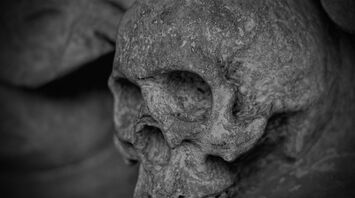 Archaeologists Propose Naming System for Stone Age Human Finds