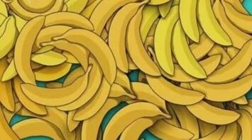 Bananas