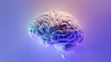 Bilingualism Helps Brain Form Stronger Internal Connections