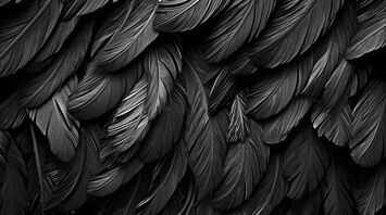 Black feather