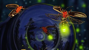 What Do Fireflies Symbolize Spiritually