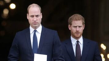 Prince William Makes Rare Comments About Prince Henry in New Documentary